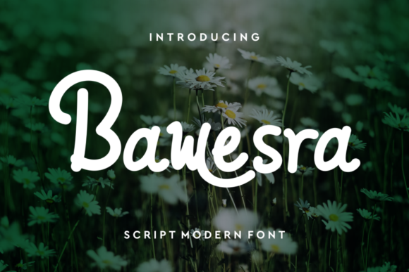Bawesra: A Delicate Script Font for Creative Branding