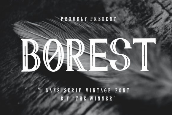 Borest Serif Font for Editorial Design
