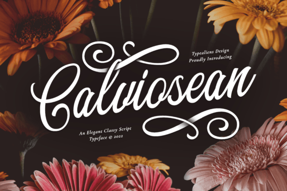 Calviosean: A Timeless Script Font for Polished Branding