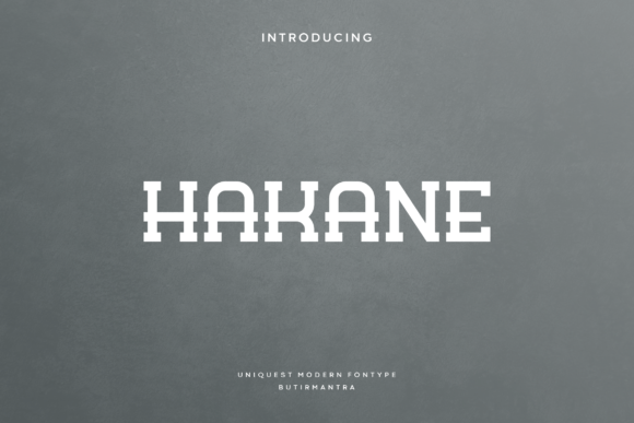 Hakane Serif Font for Digital Marketing