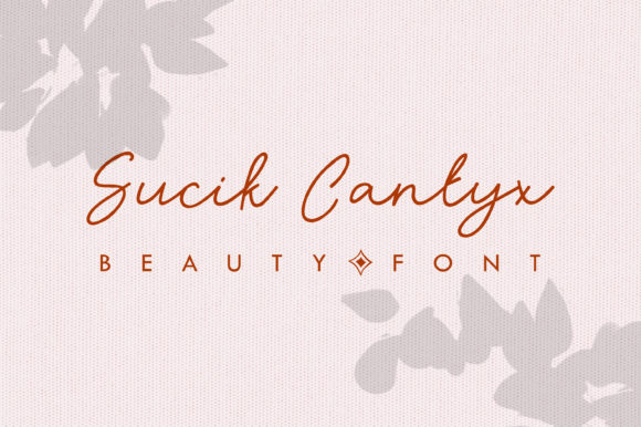 Sucik Cantyx: A Versatile Script Font for Branding